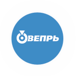 Вепрь