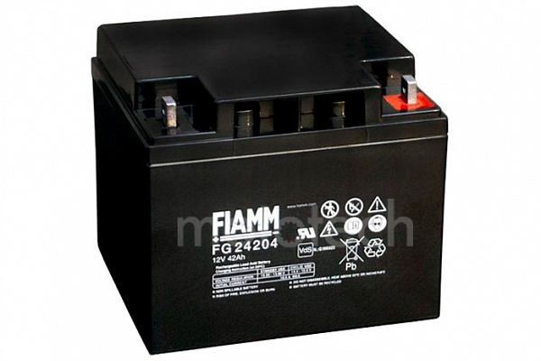 FIAMM FG24204